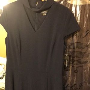 Tahari ASL A-Line dress